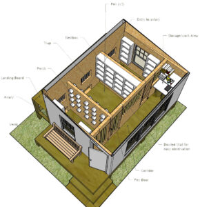 The Racing Pigeon Loft Part 2 The Racing Pigeon Loft Part 2
