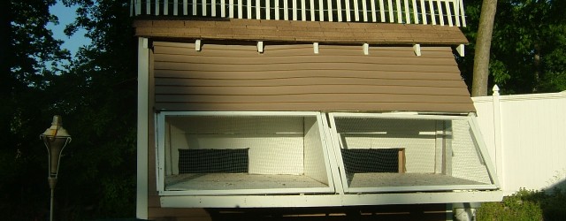 The Pigeon Loft Pigeons are kept in pigeon lofts. Chickens are kept in a coop, so when we talk about a loft, we mean that it is a house just...