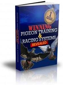 Winning Pigeon Training and Racing Systems