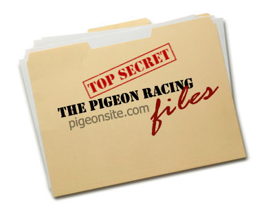 My Best Kept “Secrets” My Best Kept “Secrets” It is easy to understand the enthusiasm a fancier displays at the start of a new season. Last season’s failures will soon be forgotten with this...