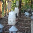 Care of Pigeon Breeders at End of Breeding Season Here’s some more great videos from Lavender Hill Lofts in Washington DC. These videos explain Lavender Hill Lofts process during the end of the breeding season. At the end...