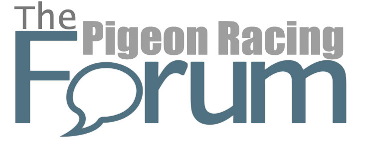 Pigeon Forum