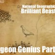 Brilliant Beasts: Pigeon Genius Part 4/4 Brilliant Beasts: Pigeon Genius Part 4/4 This is part 4 of a brilliant series from National Geographic called Brilliant Beasts: Pigeon Genius. This series showcases how amazing these creatures are and...
