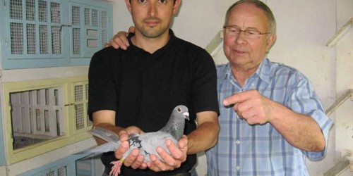 Pigeon Racing Partnerships: the good, the bad, the just plain ugly!  Overview   Pigeon racing can be enjoyed by anyone. Competitive pigeon racing takes dedication, skill, the ability to adapt,...
