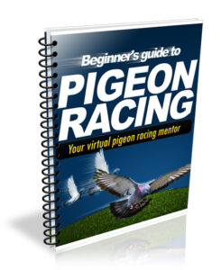 Free Beginners Handbook To Pigeon Racing