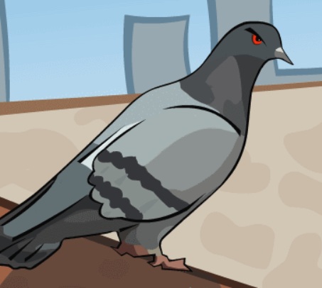 Pigeon Pigeon Game